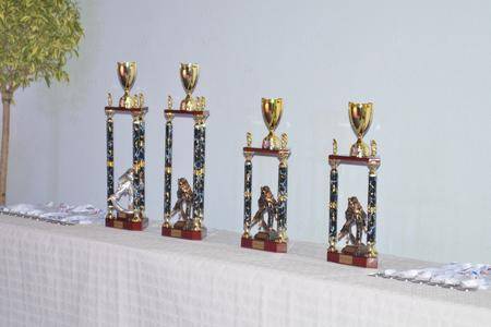 Les trophéées médailles et les kimonos offerts aux vainqueurs ont été offert par notre sponsor SFJAM Les trophéées médailles et les kimonos offerts aux vainqueurs ont été offert par notre sponsor SFJAM